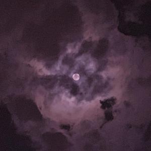 成人扒开🍑伸进香蕉❌
